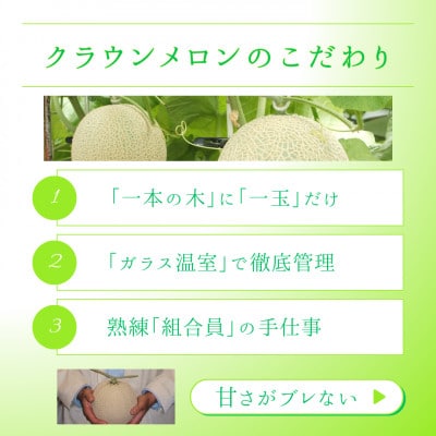 【発送月固定定期便】クラウンメロン1.3kg2個(山等級)全12回