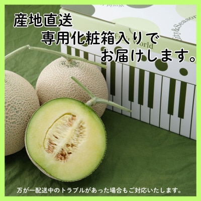 【発送月固定定期便】クラウンメロン1.3kg2個(山等級)全12回