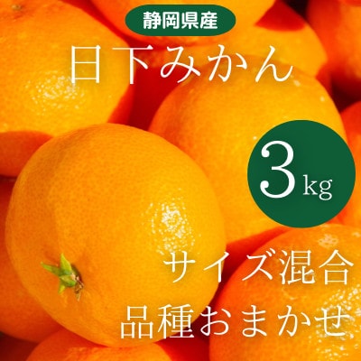 静岡県浜松市 日下みかんサイズ混合2S～2L 3kg　品種お任せ
