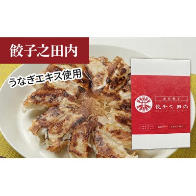 食べ比べ浜松3種餃子セット