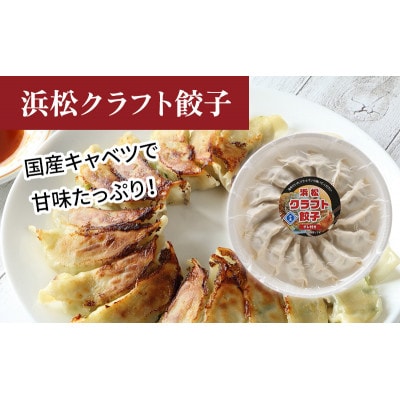 食べ比べ浜松5種餃子セット