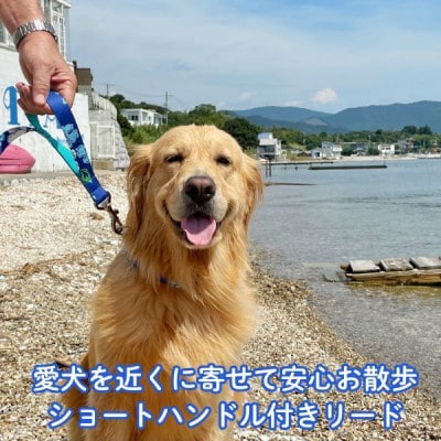 大型犬用 Lサイズ　ハーフチョークカラーとリードのセット ハワイアンブルー