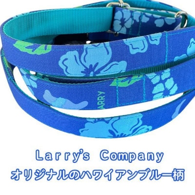 大型犬用 Lサイズ　ハーフチョークカラーとリードのセット ハワイアンブルー