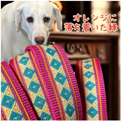 大型犬用 Lサイズ　ハーフチョークカラーとリードのセット 【緑四角】