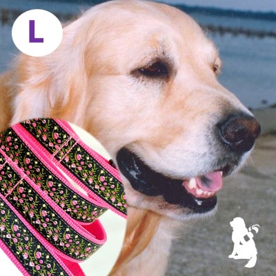大型犬用 Lサイズ　ハーフチョークカラーとリードのセット 【プチフラワーピンク】