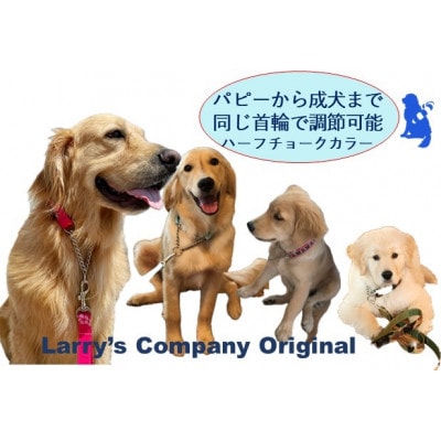 大型犬用 Lサイズ　ハーフチョークカラーとリードのセット 【パープルウェーブ】