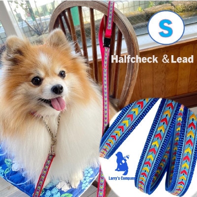 小型犬用 Sサイズ　ハーフチョークカラーとリードのセット 【ブルーシダー】首輪とリードのセット