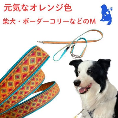 中型犬用 Mサイズ　ハーフチョークカラーとリードのセット 【キュートオレンジ】