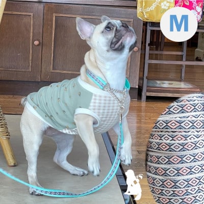 中型犬用Mサイズ　ハーフチョークカラーとショートハンドル付きリードのセット 【ひし型ミント】