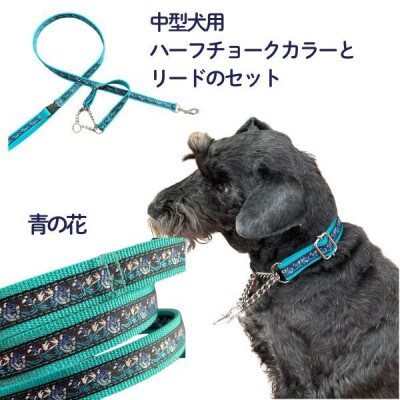 中型犬用 Mサイズ　ハーフチョークカラーとリードのセット 【青の花】
