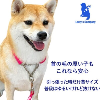 中型犬用 Mサイズ　ハーフチョークカラーとリードのセット 【トロピカルピンク】