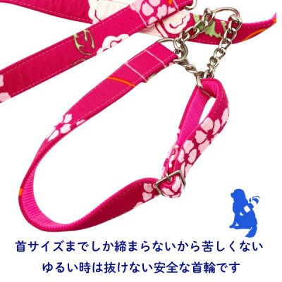 中型犬用 Mサイズ　ハーフチョークカラーとリードのセット 【トロピカルピンク】