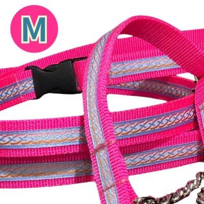 中型犬用 Mサイズ　ハーフチョークカラーとリードのセット 【シルバーライン&ピンク】