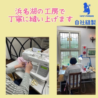 中型犬用 Mサイズ　ハーフチョークカラーとリードのセット 【シルバーライン&ピンク】