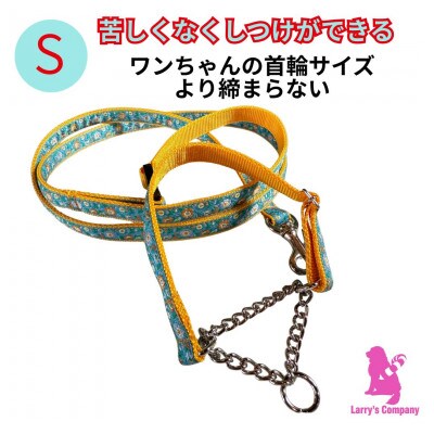 小型犬用 Sサイズ　ハーフチョークカラーとリードのセット 【トルコブルーム】