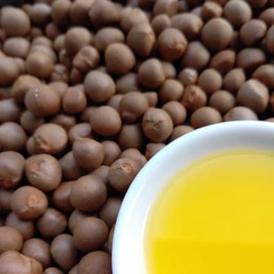 【浜松産茶実100%】お申し込みいただいてから搾る「生しぼり茶の実油」【栄養機能食品(ビタミンE)】