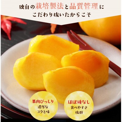 【訳アリ】ご家庭用　新鮮長持ちの柿・長寿郎10～14玉箱