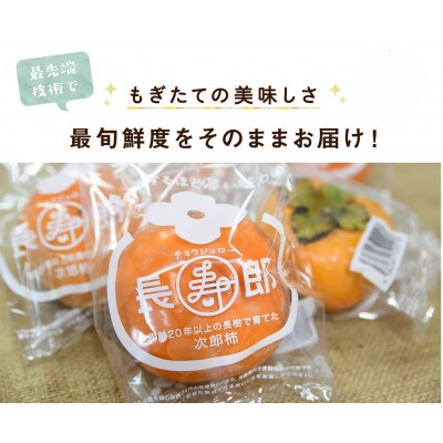 ギフト用　長生き個包装の柿・長寿郎3L　6玉化粧箱