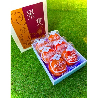 ギフト用　長生き個包装の柿・長寿郎4L　6玉化粧箱