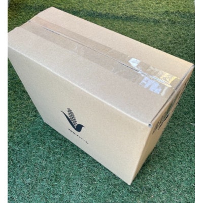 2026年6月中旬ごろ～順次出荷　【贈答用】テルもろこし大箱8～12本　静岡県浜松市産