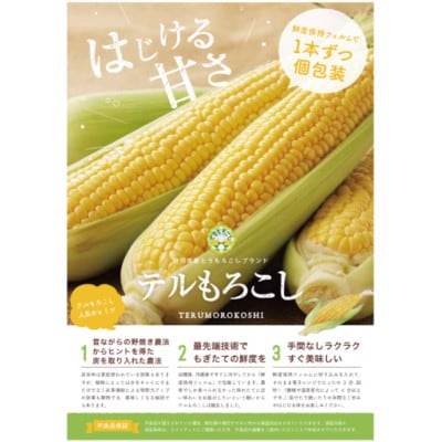 2026年6月中旬ごろ～順次出荷【贈答用】テルもろこし4～6本 静岡県浜松市産