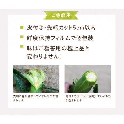 2026年6月中旬ごろ～順次出荷　ご家庭用【訳あり】テルもろこし大箱8～14本　静岡県浜松市産