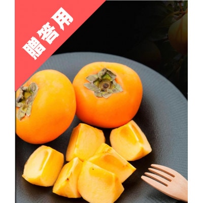 【2026年先行予約】11月1日～順次発送　テルの次郎柿　静岡県浜松市産　贈答用10～12玉　2kg