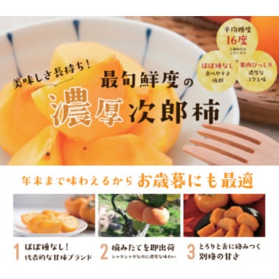 【2026年先行予約】11月1日～順次発送　テルの次郎柿　静岡県浜松市産　贈答用10～12玉　2kg