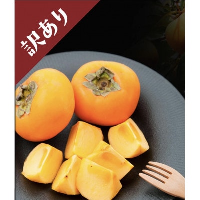 【2026年先行予約】11月1日～順次発送　テルの次郎柿　静岡県浜松市産　家庭用14～18玉　3kg