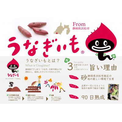 うなぎいもさつまいも素揚げチップス・塩味【8袋入り】