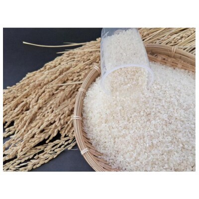 静岡コシヒカリ5キロ1袋