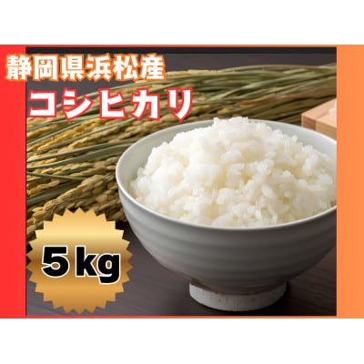 【毎月定期便】浜松産コシヒカリ5kg全3回