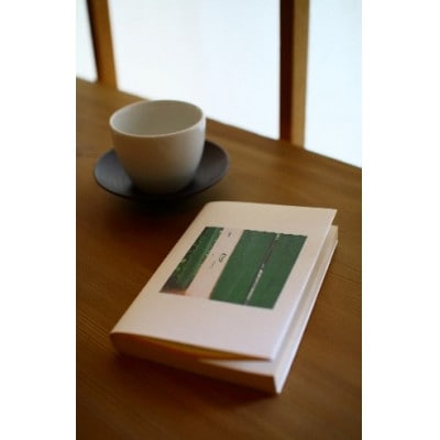 【発送月固定定期便】森のお茶　深蒸し煎茶100g全3回