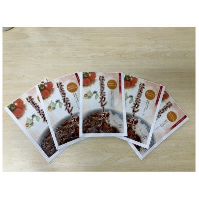 はまきたカレーヌ 180g×5P
