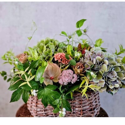 季節の花を楽しむフラワーレッスン　1回(約90分)