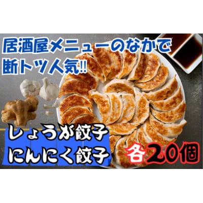 浜松餃子　すえひろ【しょうが味餃子・にんにく味餃子】40個(各味20個入り×1Pずつ)