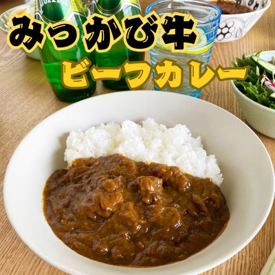 和田牧場のビーフカレー(箱無しパウチ状×5P入り)