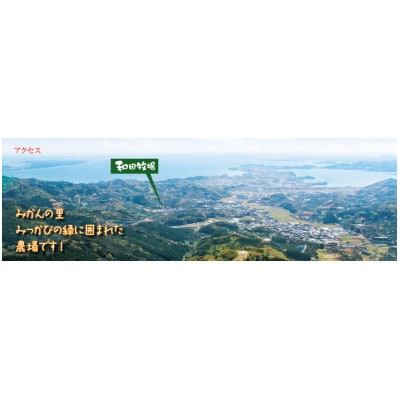 和田牧場のビーフカレー(箱無しパウチ状×5P入り)