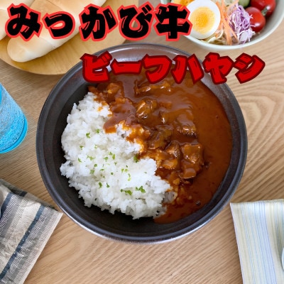 和田牧場のビーフハヤシ(箱無しパウチ状×5P入り)