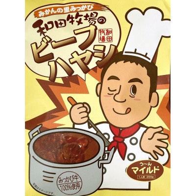 和田牧場のビーフハヤシ(箱無しパウチ状×5P入り)