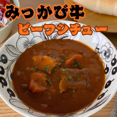 和田牧場のビーフシチュー(箱無しパウチ状×5P入り)