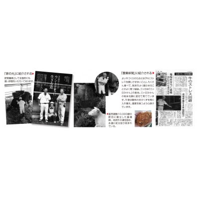 和田牧場のビーフシチュー(箱無しパウチ状×5P入り)