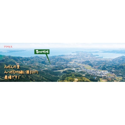 和田牧場のビーフシチュー(箱無しパウチ状×5P入り)