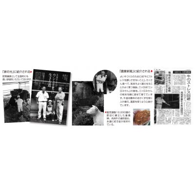 わだぼく兄弟Aセット