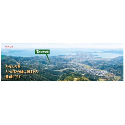 わだぼく兄弟Bセット