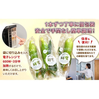 テルのとうもろこし(「甘々娘」または「甘太郎」)　計3本