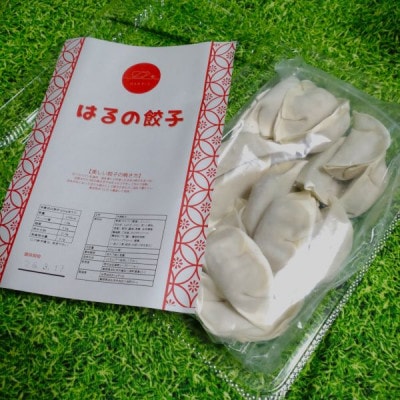 はるの餃子20個入り1パック　国産豚使用冷凍浜松餃子