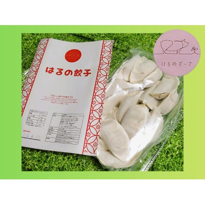 養豚屋が本気で作ったはるの餃子　20個入り1パック。国産豚100%使用　冷凍浜松餃子