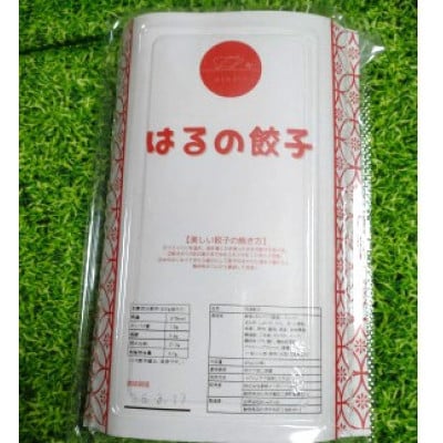 はるの餃子20個入り1パック　国産豚使用冷凍浜松餃子