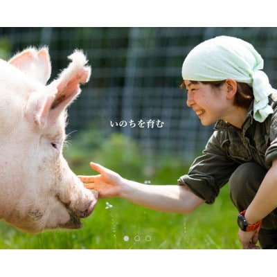 養豚屋が本気で作ったはるの餃子　20個入×4パック　国産豚100%使用　冷凍浜松餃子